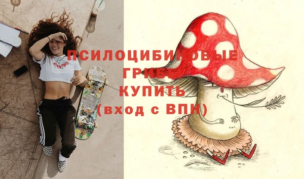 экстази Гусиноозёрск