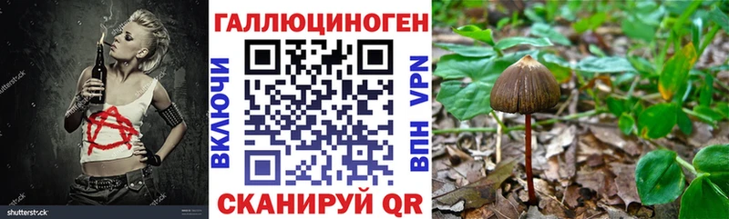 Купить закладки  Тутаев  Галлюциногенные грибы мицелий 